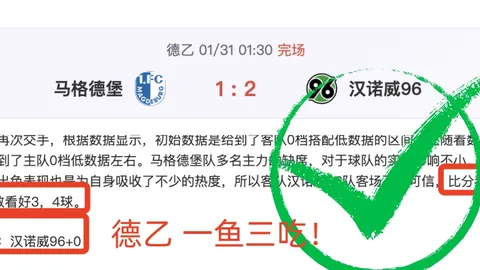 杭州临平多盛宴迎顶级赛事，谱写新区赛事里程碑2025-01-23