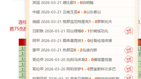 大乐透期号专家推荐：巴斯克VS贝游击佛罗伦萨VS水晶宫质合分